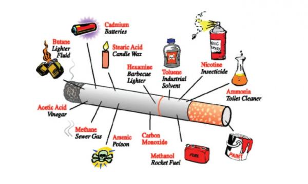 Tobacco Control Measures: Strategies for Successful Implementation