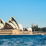 Australia debates seizure of Insta-famous magpie