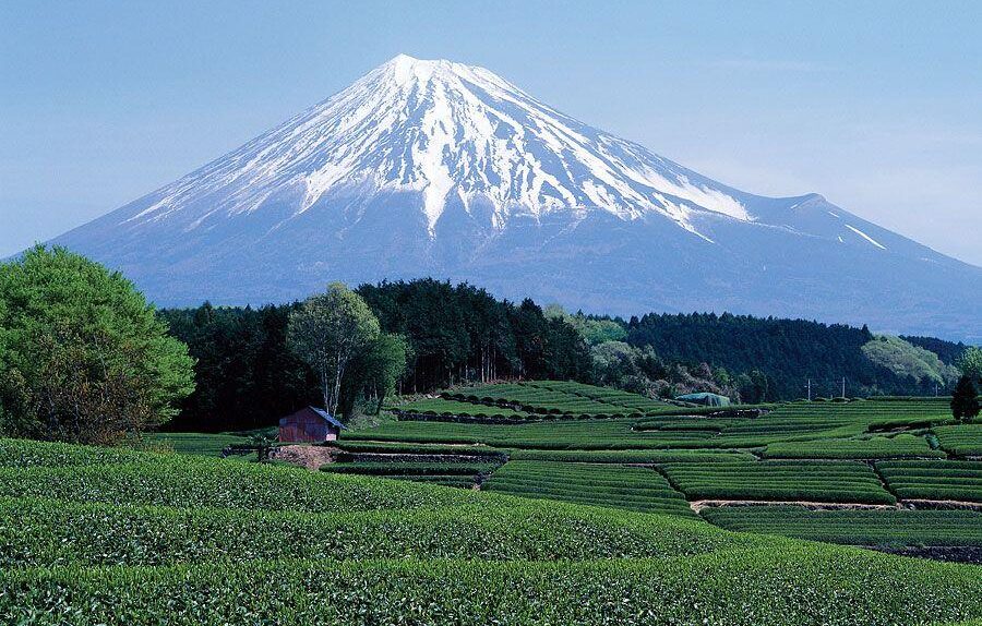 Mount Fuji view to be blocked to deter tourists
